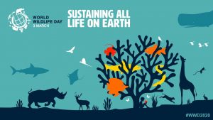 World Wildlife Day 2021