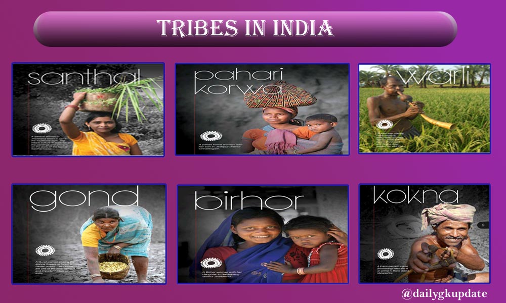 tribes in india