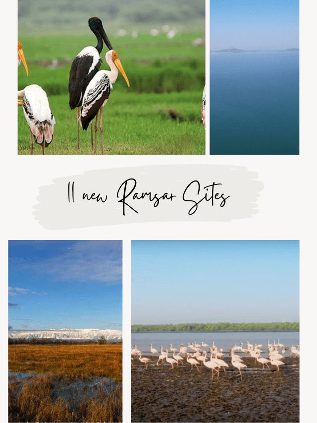 11 New Ramsar Sites of India